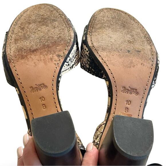 Coach Black and Gray Snake Print Sandals - Picture 5 of 10